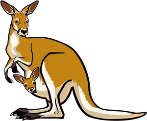 Mother Kangarooand Joey Vector Illustration PNG Image