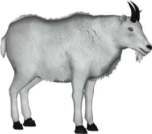 Mountain Goat3 D Model Isolated PNG Image