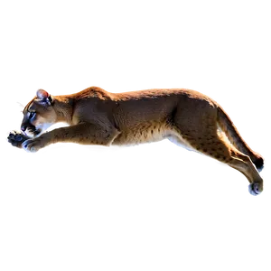 Mountain Lion At Dawn Png Mug PNG Image