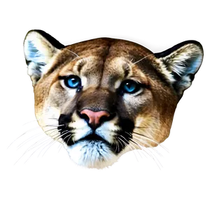 Mountain Lion Whisper Png Idm10 PNG Image