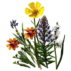 Mountain Meadow Wildflowers PNG Rna45 PNG