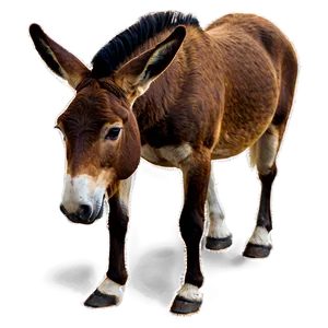 Mule C PNG Image