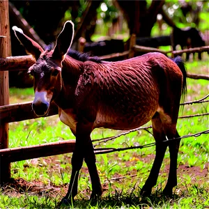 Mule In Farm Setting Png Ttl PNG Image