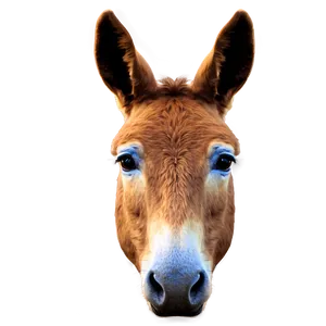 Mule Profile Icon Png Mnn9 PNG Image