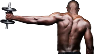 Muscular Man Performing Dumbbell Curls PNG Image