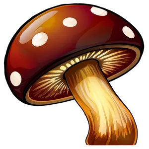 Mushroom Cartoon Png Jgd PNG Image