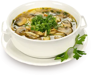 Mushroom Vegetable Soup Bowl PNG