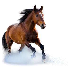 Mustang Horse In Blizzard Png 06262024 PNG Image