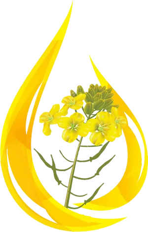 Mustard Flower Flame Graphic PNG Image