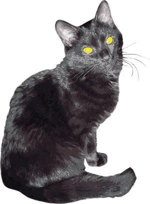 Mystic Black Cat Yellow Eyes PNG Image