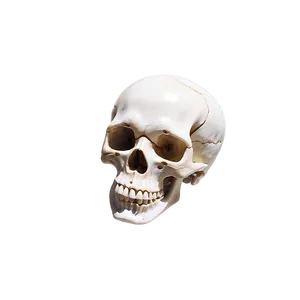 Mystic Spinning Skull Png Uhd17 PNG Image