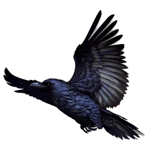 Mystical Raven Png 12 PNG Image