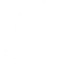 N B C Sports Logo PNG Image