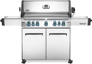 Napoleon Stainless Steel Gas Grill PNG Image