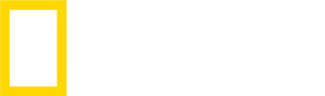 National Geographic Logo PNG Image