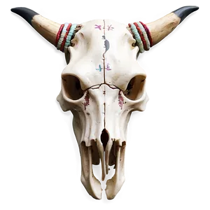 Native American Cow Skull Png Ama3 PNG Image