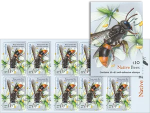 Native Bee Wasp Mimic Stamp Sheet PNG Image