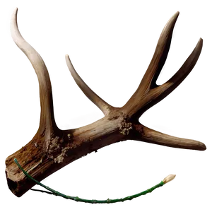 Natural Deer Antler Graphic Png Uqq91 PNG Image