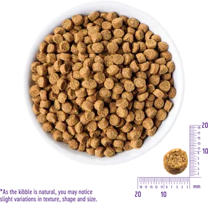 Natural Dog Kibble Textureand Size Variation PNG Image