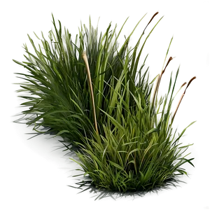 Natural Grass Patch Png Bkm6 PNG Image