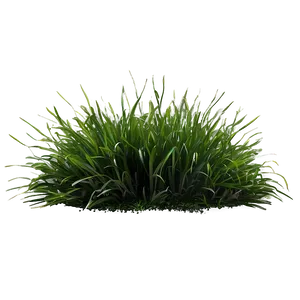 Natural Grass Patch Png Ykd46 PNG Image