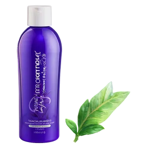 Natural Ingredients Shampoo Bottle Png Paj28 PNG Image