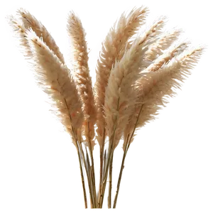 Natural Pampas Grass Png Pap PNG Image