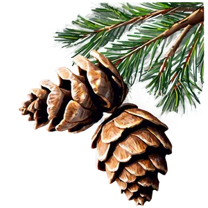 Natural Pinecone Image Png 06132024 PNG Image