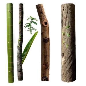 Nature Sticks Png Rhs87 PNG Image