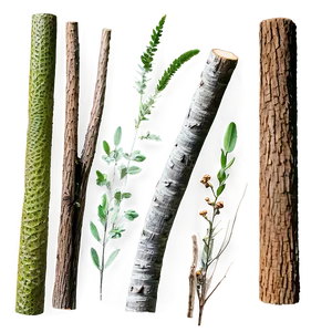 Nature Sticks Png Rjk21 PNG Image