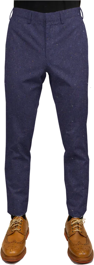 Navy Blue Dress Pantswith Brown Shoes PNG Image