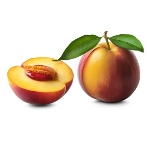 Nectarine Segment Png 06252024 PNG Image