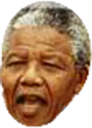 Nelson Mandela Portrait PNG Image