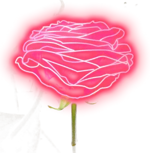 Neon_ Outline_ Pink_ Rose PNG Image