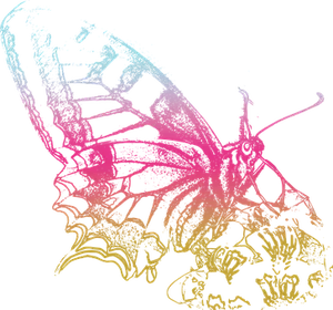 Neon Outlined Butterfly PNG Image