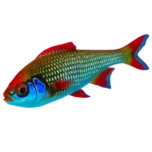 Neon Tetra Fish Transparent Png 99 PNG Image