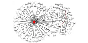 Network Analysis Graph PNG Image