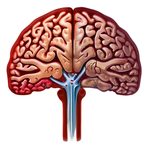 Neurology Brain Outline Png Rip83 PNG Image