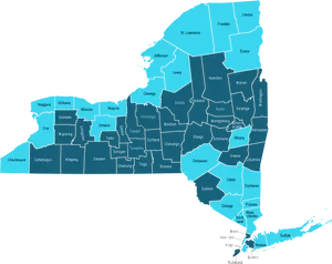 New York State County Map PNG Image