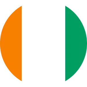 Niger National Flag PNG Image