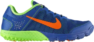 Nike Zoom Running Shoe Blue Green PNG Image