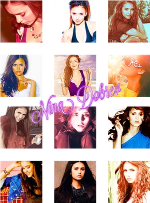 Nina Dobrev Collage PNG Image