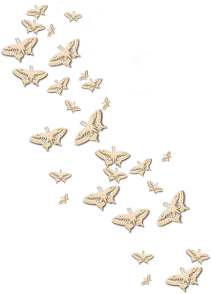 Nocturnal Butterfly Flight Pattern PNG Image