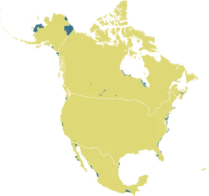 North America Outline Map PNG Image