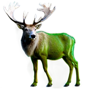 Northern Lights Caribou Png 06292024 PNG Image