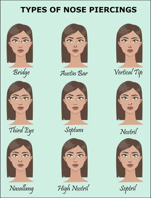 Nose Piercing Styles Illustration PNG Image