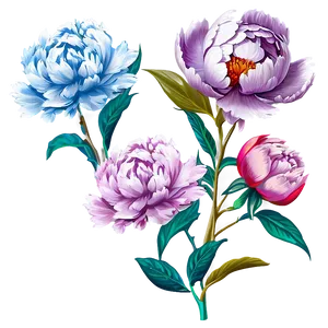 Nostalgic Peony Art Png 41 PNG Image