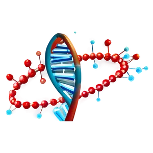 Nucleus With Dna Png Hmq PNG Image