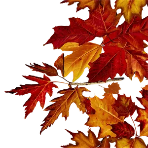 Oak And Maple Fallen Leaves Png 16 PNG Image