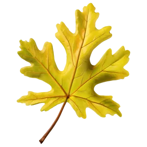 Oak Leaf A PNG Image